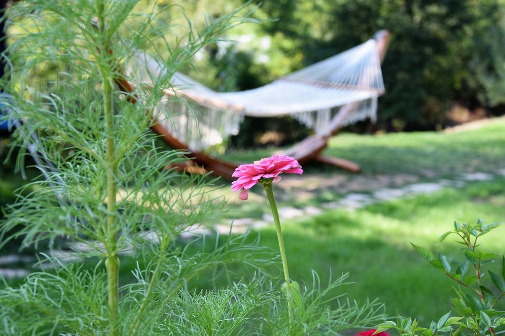 Golden Horn Guest House Iskrets Zewnętrze zdjęcie
